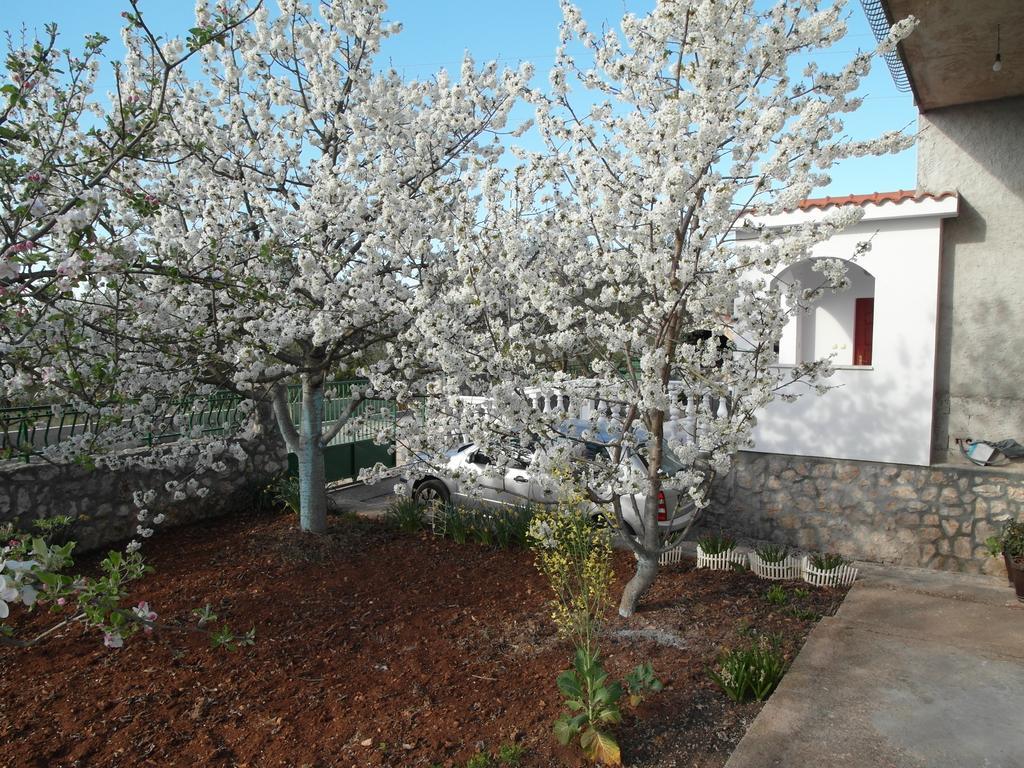 Apartment Antonio Sibenik Exterior photo